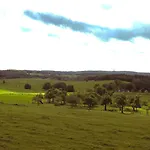 Apartman Panorama Trifft Gemuetlichkeit Weitblick