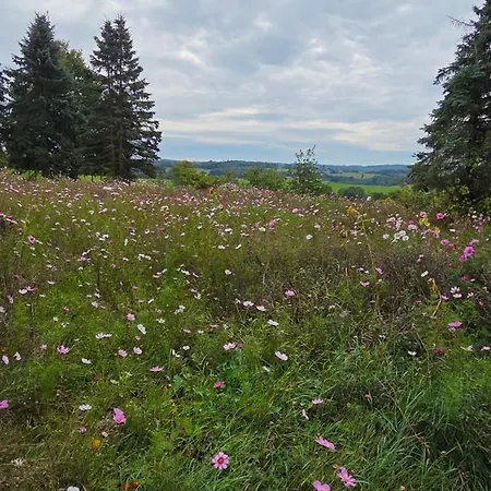 Panorama Trifft Gemuetlichkeit Weitblick Lejlighed Nuembrecht