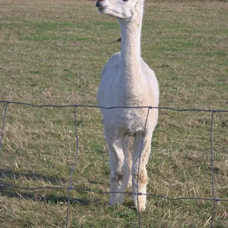 아파트 Panorama Trifft Gemuetlichkeit *