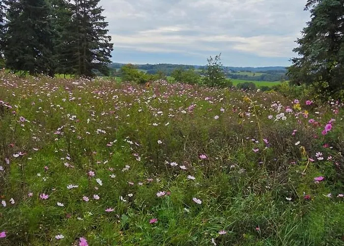Panorama Trifft Gemuetlichkeit Apartment Nuembrecht