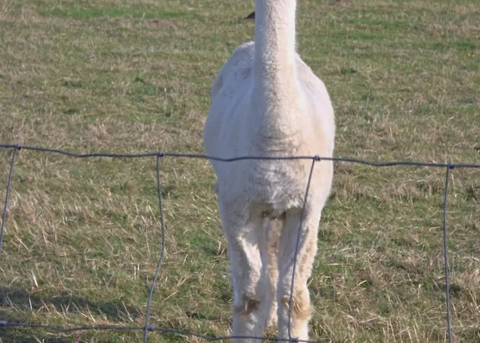 Apartment Panorama Trifft Gemuetlichkeit *